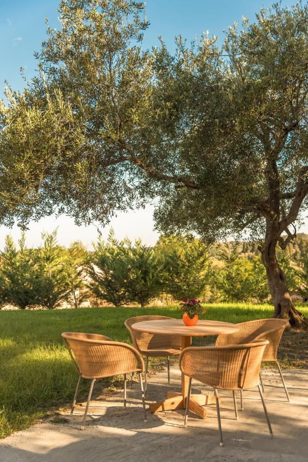 Villa Giannis 维塔拉戴斯 外观 照片
